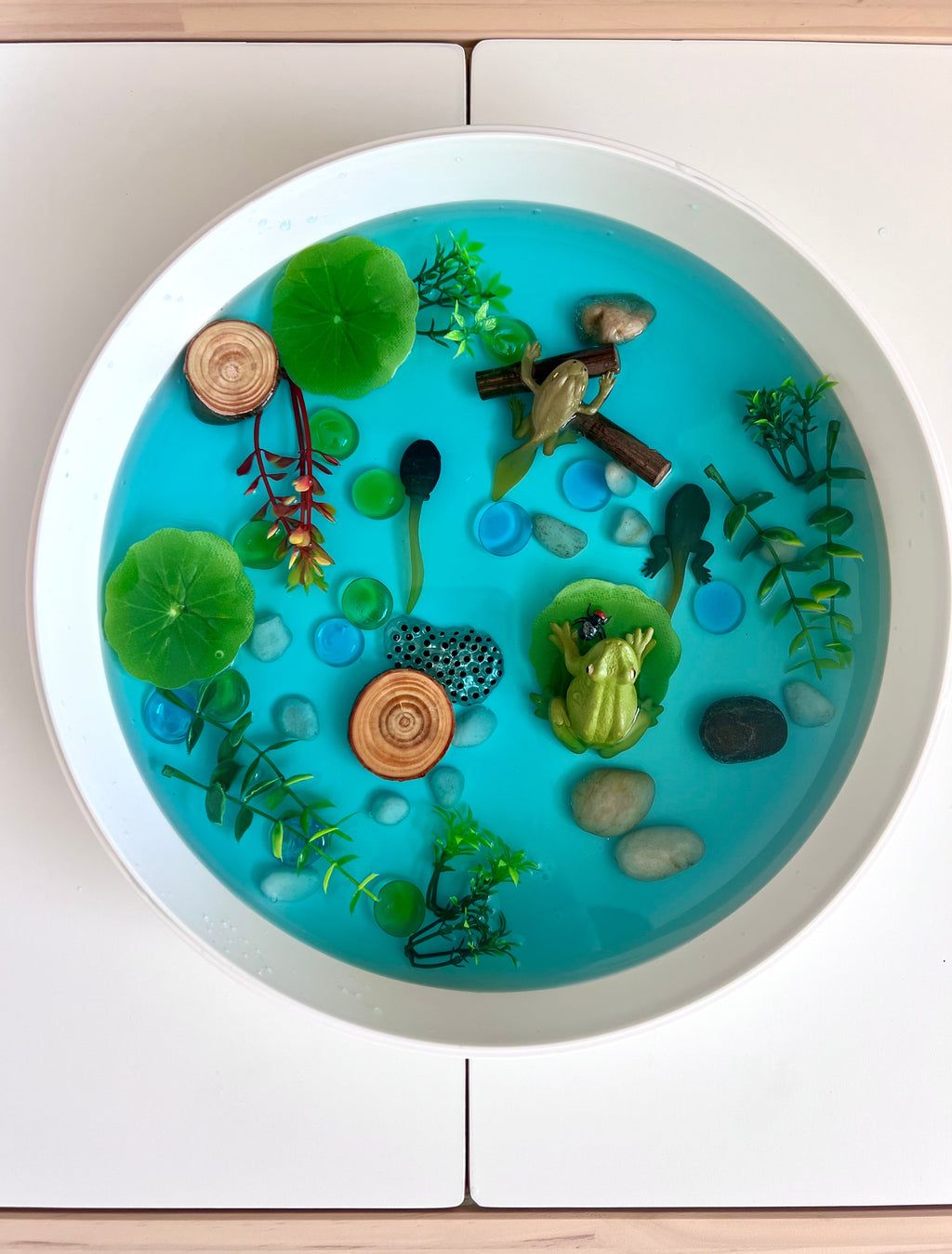 Pond Life Cycle Sensory Kit for Kids | Frog Life Cycle & Water Play Activity | STEM Science Learning Toy | Screen-Free Educational Kit Ages 3–8