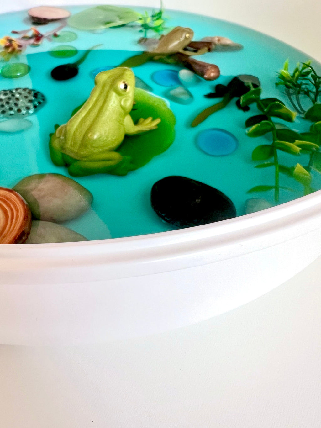 Pond Life Cycle Sensory Kit for Kids | Frog Life Cycle & Water Play Activity | STEM Science Learning Toy | Screen-Free Educational Kit Ages 3–8