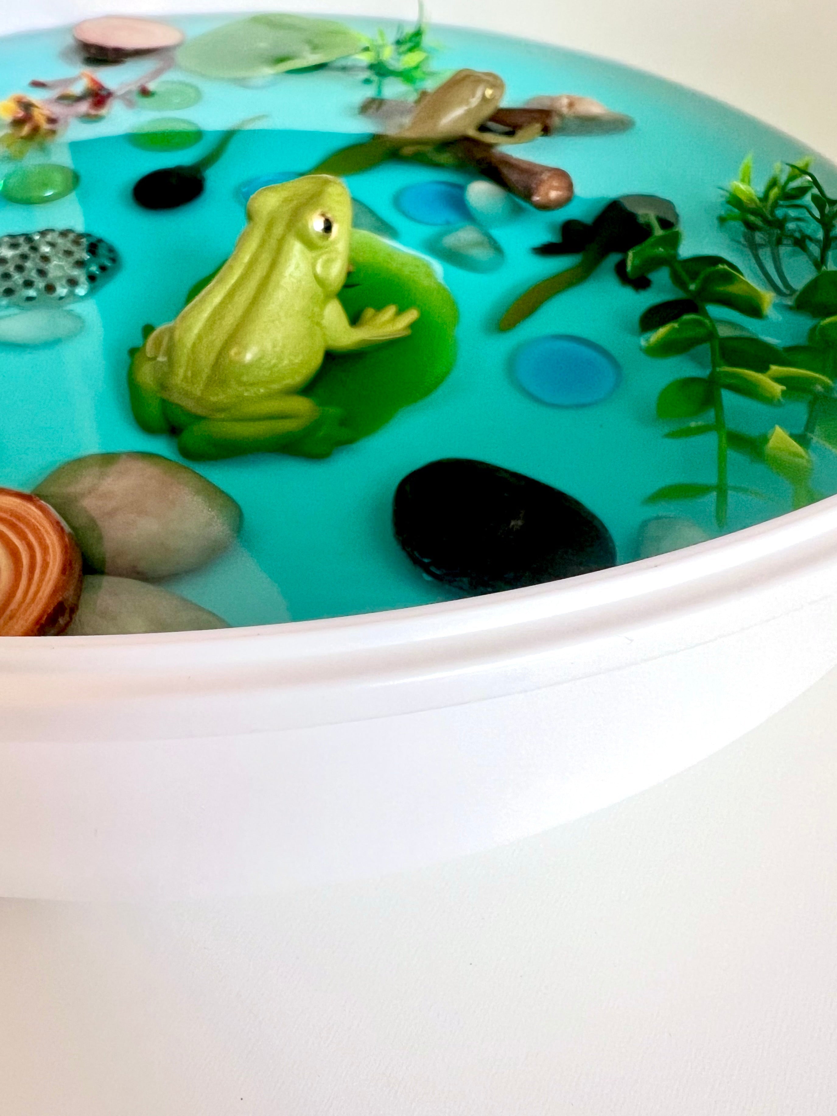 Pond Life Cycle Sensory Kit for Kids | Frog Life Cycle & Water Play Activity | STEM Science Learning Toy | Screen-Free Educational Kit Ages 3–8