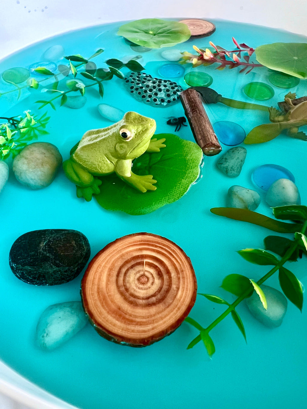 Pond Life Cycle Sensory Kit for Kids | Frog Life Cycle & Water Play Activity | STEM Science Learning Toy | Screen-Free Educational Kit Ages 3–8
