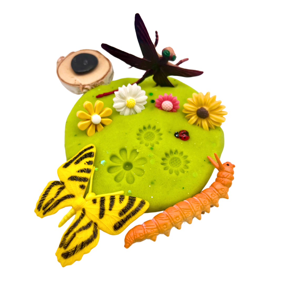 Butterfly & Bug Playdough Sensory Kit for Kids | Insect-Themed Learning Toy | Nature Play Activity | Screen-Free Sensory Kit Ages 3–8