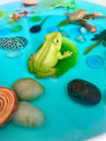 Pond Life Cycle Sensory Kit for Kids | Frog Life Cycle & Water Play Activity | STEM Science Learning Toy | Screen-Free Educational Kit Ages 3–8