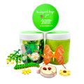 Butterfly & Bug Playdough Sensory Kit for Kids | Insect-Themed Learning Toy | Nature Play Activity | Screen-Free Sensory Kit Ages 3–8