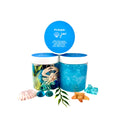 Ocean Creatures Sensory Play Kit for Kids | Under the Sea Playdough Kit | Imaginative Ocean Toy | Screen-Free Activity Ages 3–8