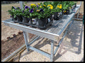 Commercial Grade Plant Benches | Heavy-Duty Greenhouse Grow Tables | Galvanized Steel & Drainage-Ready Benching | Professional Nursery & Garden Use