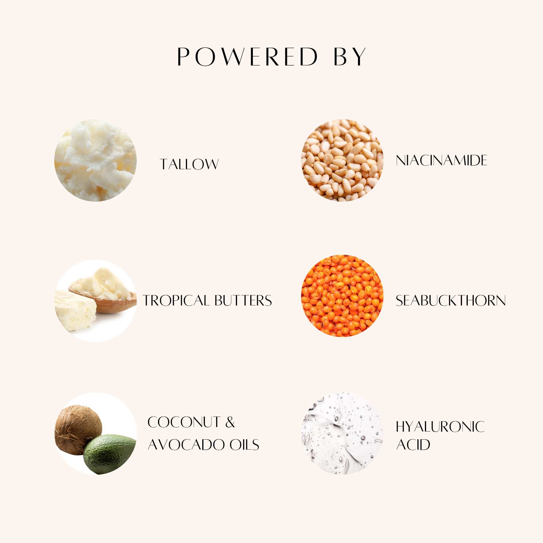 Tallow Face Cream